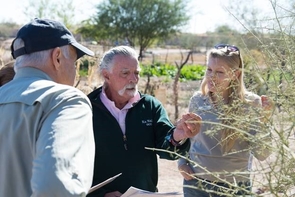 Observing changes in palo verde tree At the Tucson Mission Gardens, Nature's Notebook observers Jim Love (left) and Hank Verbais (center) learn to appreciate changes in the plants they observe, such as young leaves on the palo verde tree. Erin Posthumus (right), outreach coordinator with the National Phenology Network, assists. (Photo credit: Brian F. Powell)